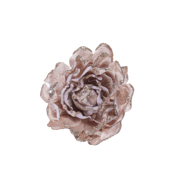 Holly & Ivy - Champagne Camelia Clip Flower